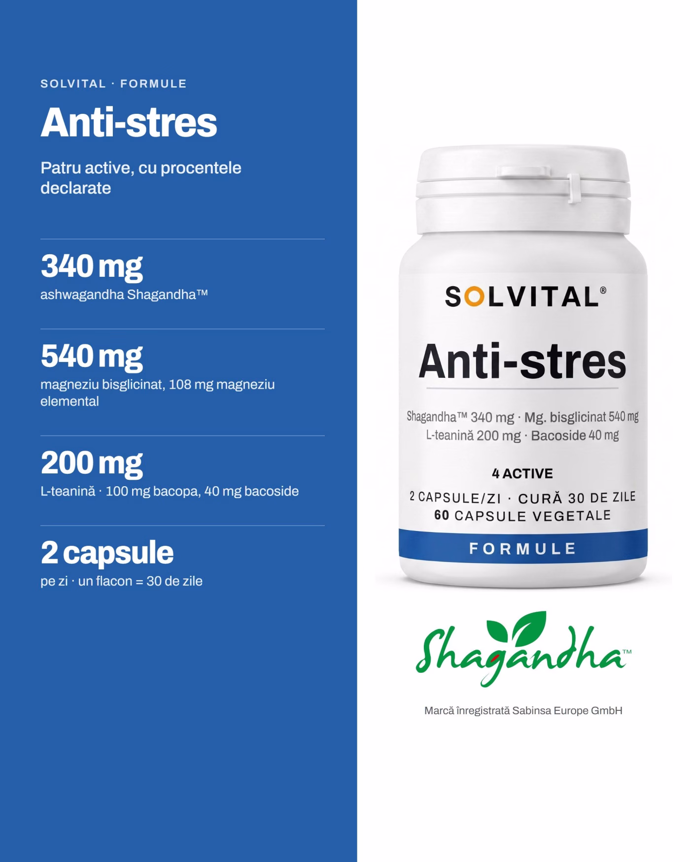 Solvital Anti-stres – pe scurt Solvital Anti-stres, pe scurt: 340 mg ashwagandha Shagandha™; 540 mg magneziu bisglicinat, 108 mg magneziu elemental; 200 mg L-teanină · 100 mg bacopa, 40 mg bacoside; 2 capsule pe zi · un flacon = 30 de zile