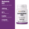 Solvital Berberină HCl – pe scurt Solvital Berberină HCl, pe scurt: 1000 mg clorhidrat de berberină pe zi; 98 % puritate, verificată prin HPLC; 0 aditivi fără agent de încărcare, capsule pullulan; 2 capsule pe zi · un flacon = 30 de zile