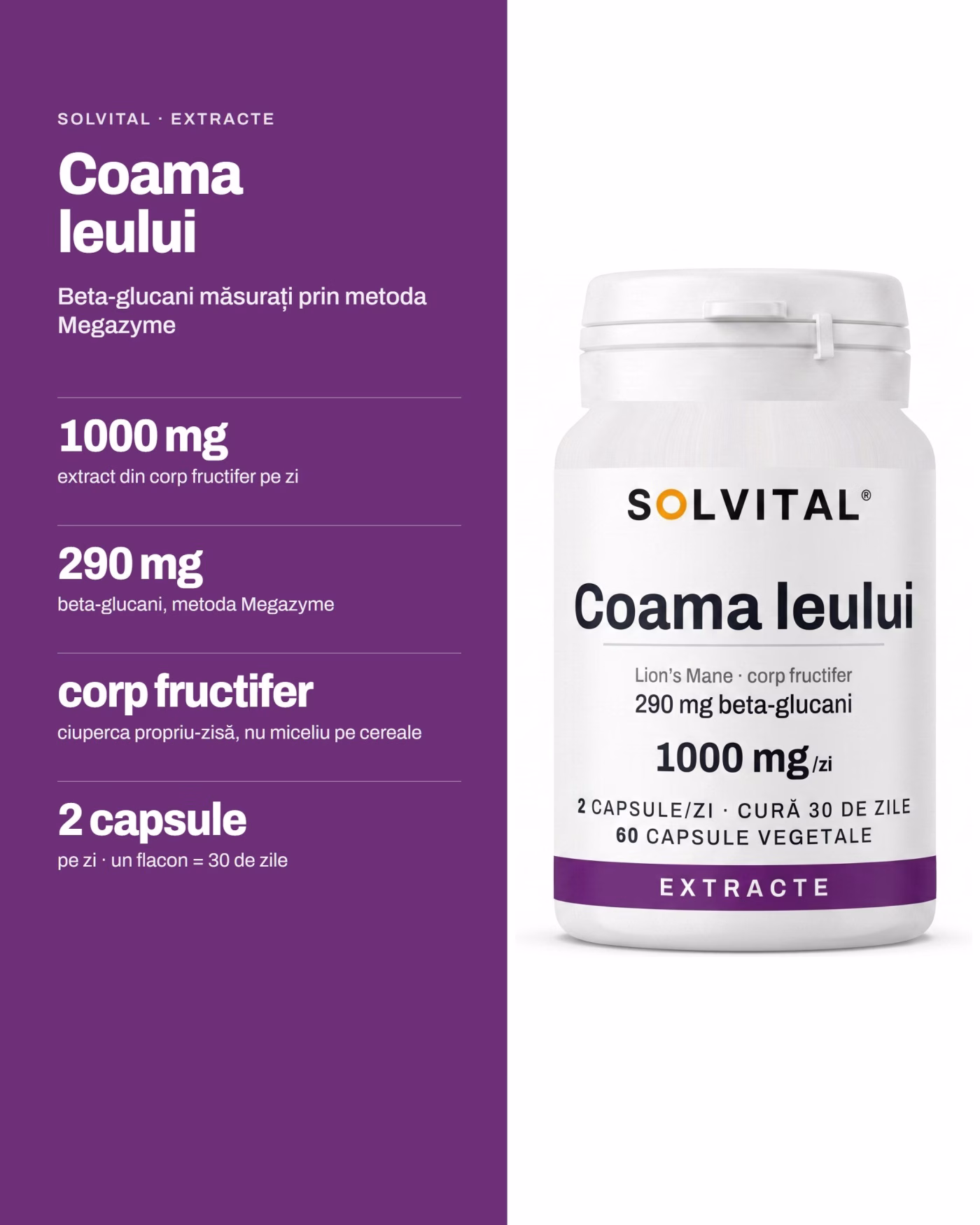 Solvital Coama leului – pe scurt Solvital Coama leului, pe scurt: 1000 mg extract din corp fructifer pe zi; 290 mg beta-glucani, metoda Megazyme; corp fructifer ciuperca propriu-zisă, nu miceliu pe cereale; 2 capsule pe zi · un flacon = 30 de zile