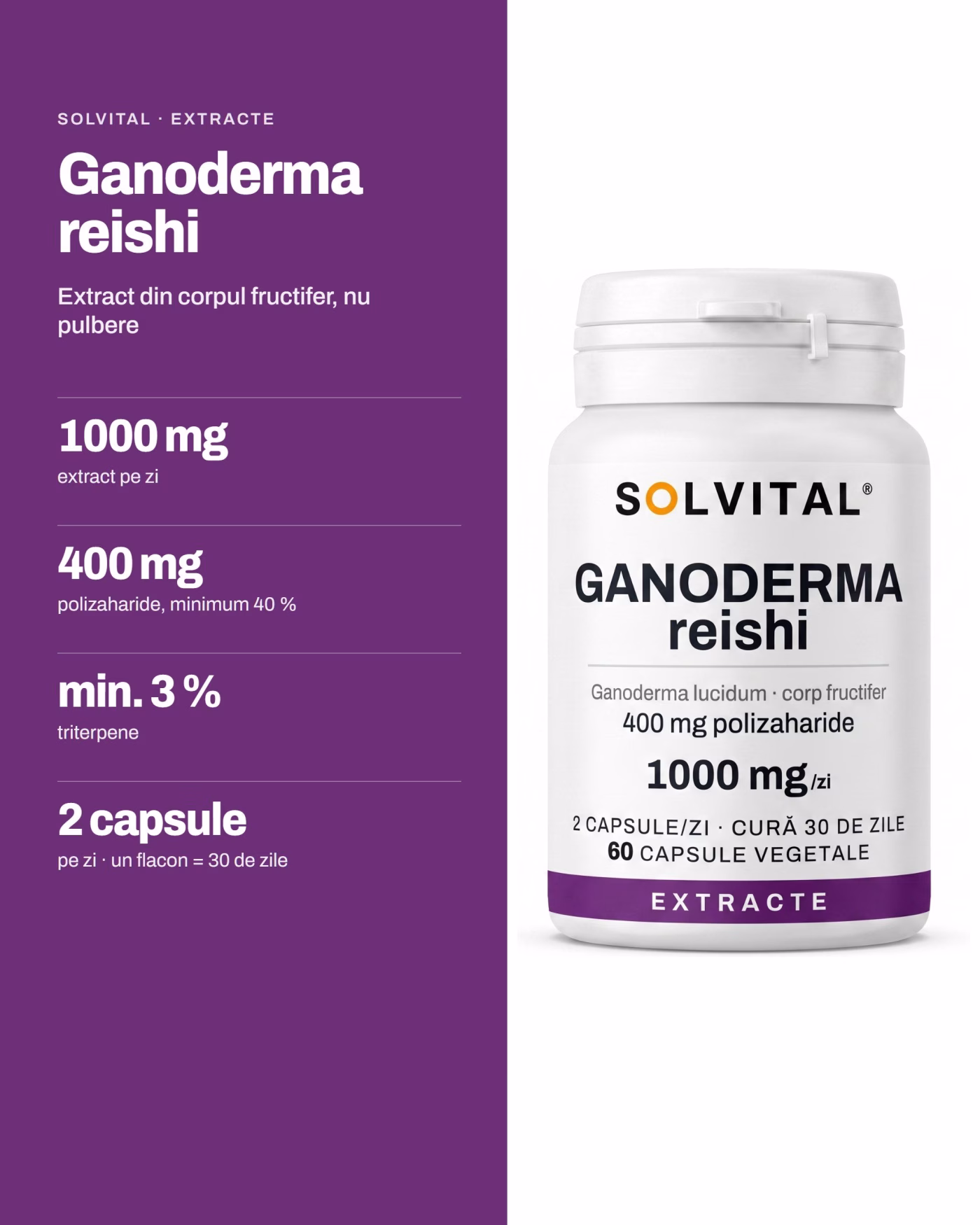 Solvital Ganoderma reishi – pe scurt Solvital Ganoderma reishi, pe scurt: 1000 mg extract pe zi; 400 mg polizaharide, minimum 40 %; min. 3 % triterpene; 2 capsule pe zi · un flacon = 30 de zile