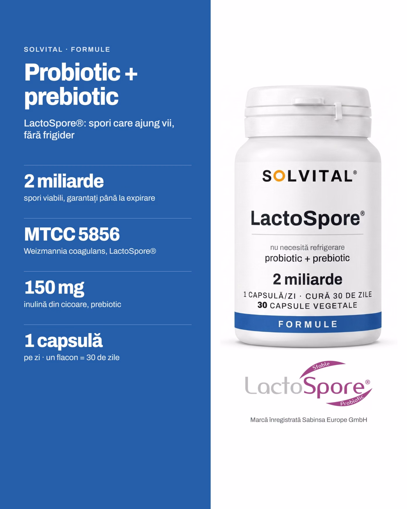 Solvital Probiotic + prebiotic – pe scurt Solvital Probiotic + prebiotic, pe scurt: 2 miliarde spori viabili, garantați până la expirare; MTCC 5856 Weizmannia coagulans, LactoSpore®; 150 mg inulină din cicoare, prebiotic; 1 capsulă pe zi · un flacon = 30 de zile