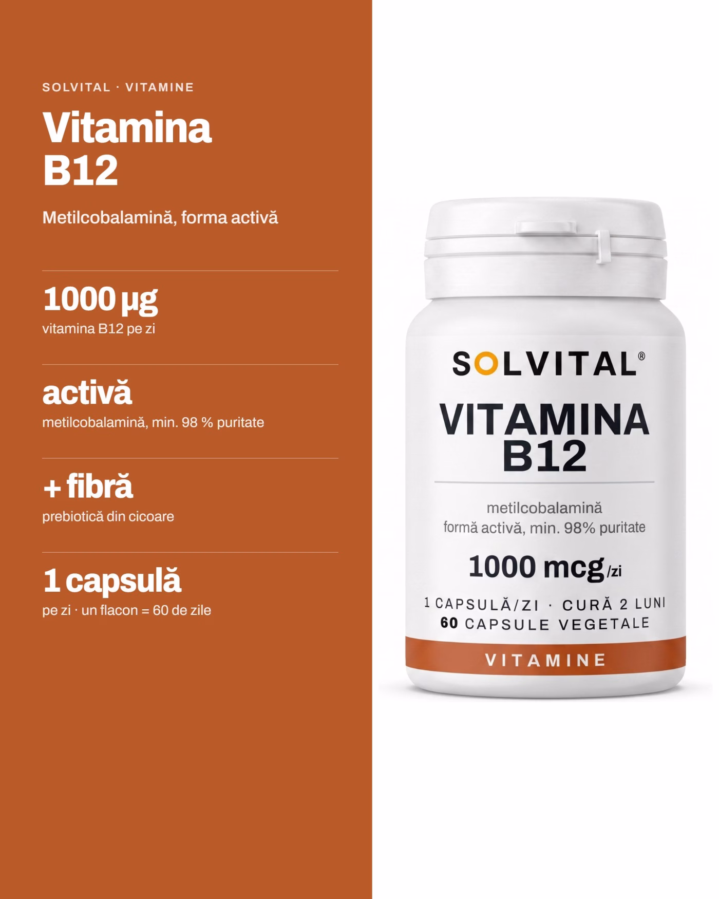 Solvital Vitamina B12, pe scurt: 1000 µg vitamina B12 pe zi; activă metilcobalamină, min. 98 % puritate; + fibră prebiotică din cicoare; 1 capsulă pe zi · un flacon = 60 de zile